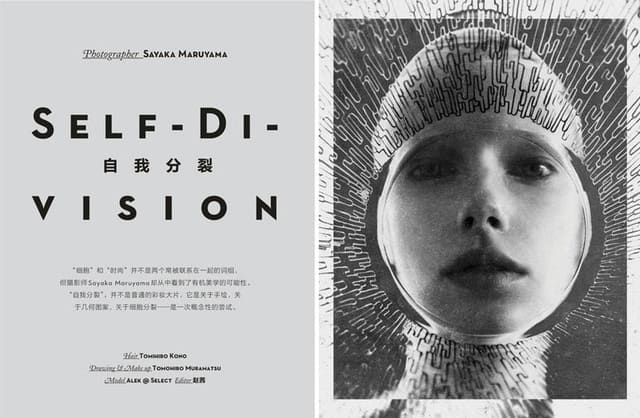 Self Di Vison — Vision China