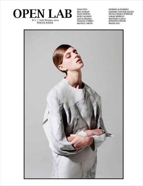 Open Lab Magazine Fall/winter 12 cover — Open Lab Magazine