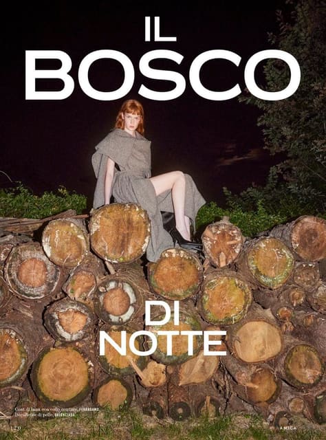 The Forest at night — Amica