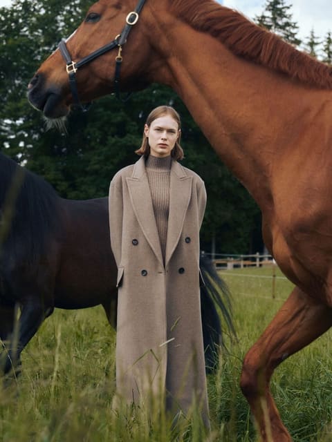 wild horses — Vogue Portugal