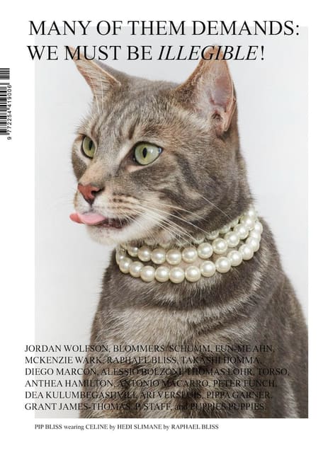 Many of Them Magazine #11 Spring 2025 Co... — Many of Them Magazine