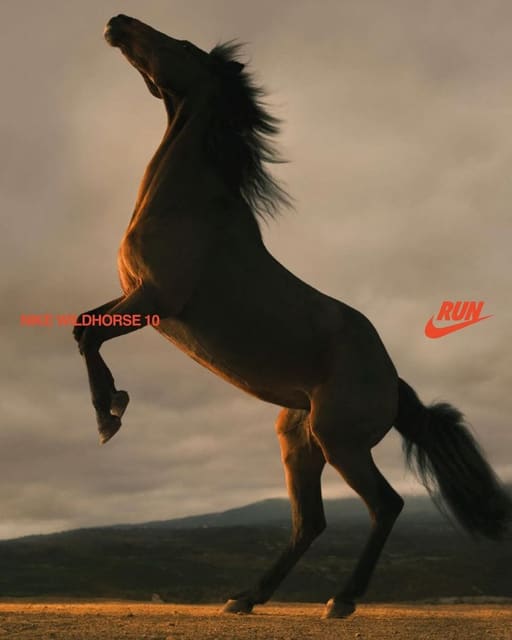 NIKE RUN WILDHORSE 10 & KIGER 10 CAMPAIG... — Nike