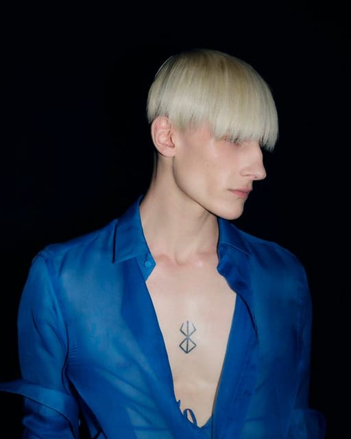 Milan Bodemer — 5