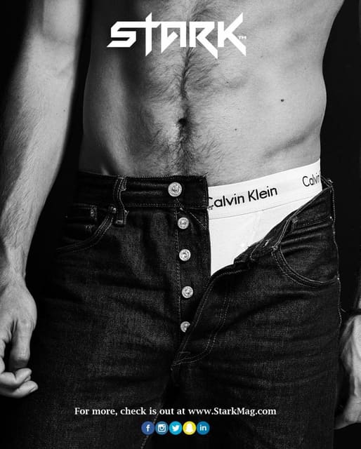 Stark Magazine Chapter 5 Cover — Stark Magazine