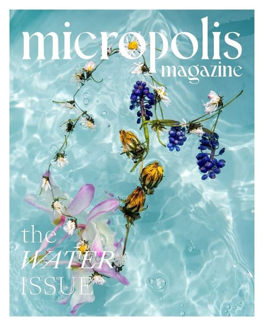 micropolis magazine August 2025 Cover