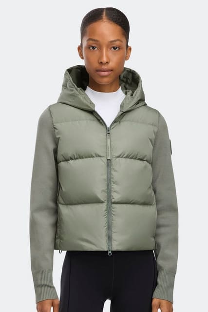 Canada Goose Fall 2025 by Andrew Harris — Canada Goose
