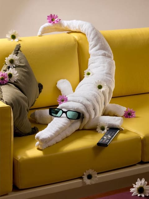 Towel Art — National Geographic