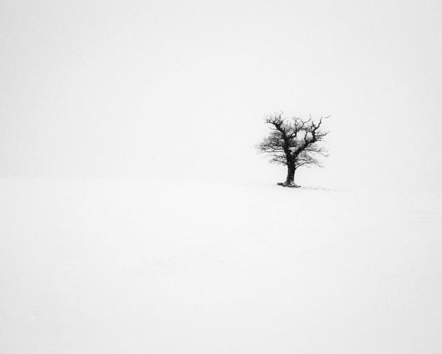 William Waterworth