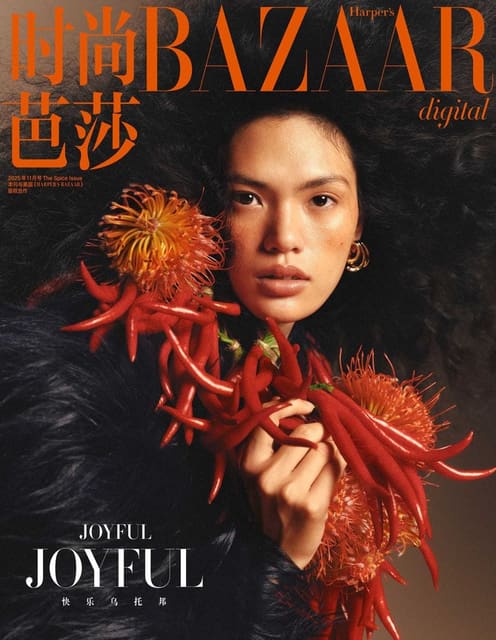 Harper's Bazaar China November 2025 Digi... — Harper's Bazaar China
