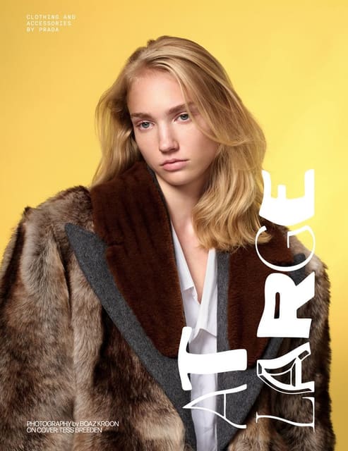 At Large Magazine #24 Fall/Winter 2025 C... — At Large Magazine
