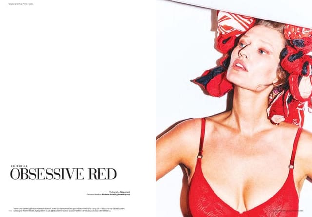 OBSESSIVE RED — Mia Le Journal