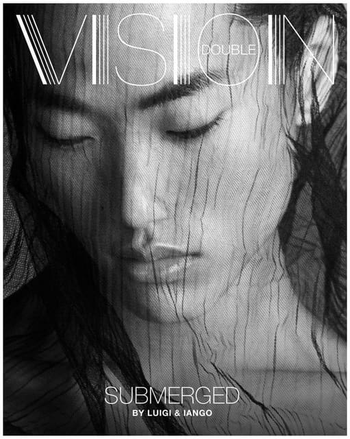 Double Vision SUBMERGED 2025 Covers — Double Vision