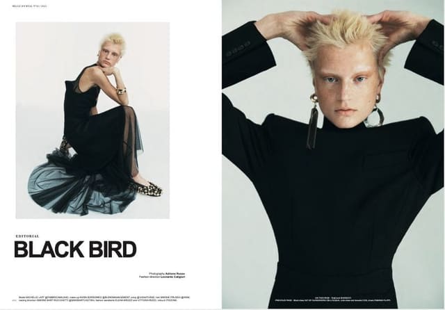 BLACK BIRD — Mia Le Journal