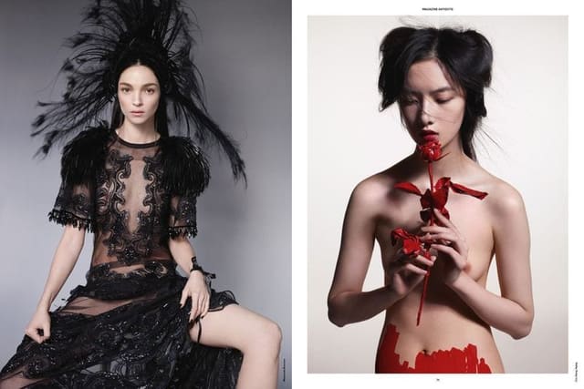 Wild at Heart — Magazine Antidote