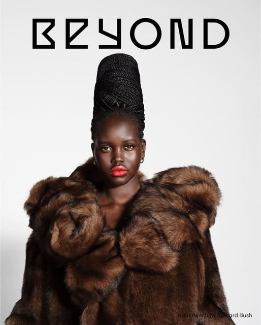 Beyond Noise Issue 4 Covers — Beyond Noise