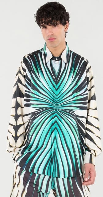 Roberto Cavalli 2025 FW — Roberto Cavalli
