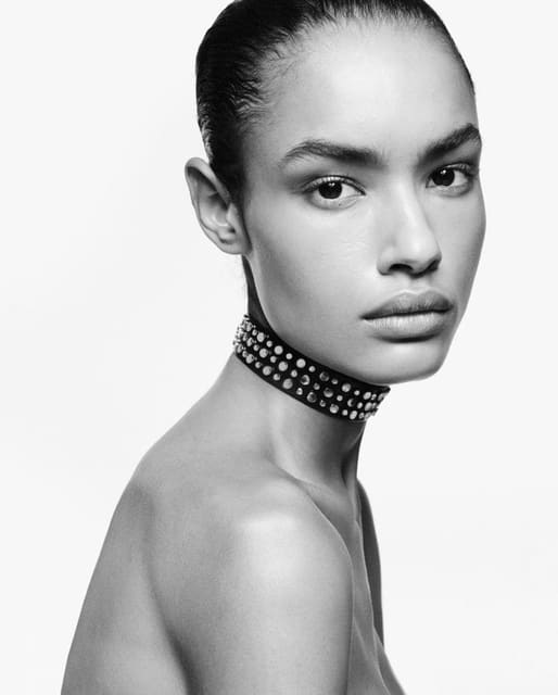 Zara x Ludovic de Saint Sernin 2025 — Zara