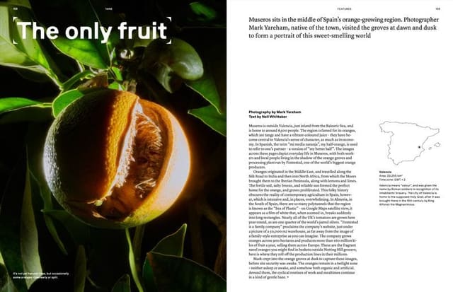 The only fruit — Tank Magazine