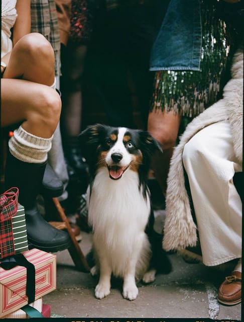 Abercrombie & Fitch Holiday 25 — Abercrombie & Fitch