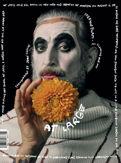 At Large Magazine #22 Fall/Winter 2024 C... — At Large Magazine