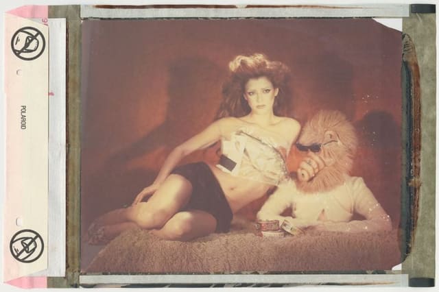 Dixie D'amelio — Crash Magazine