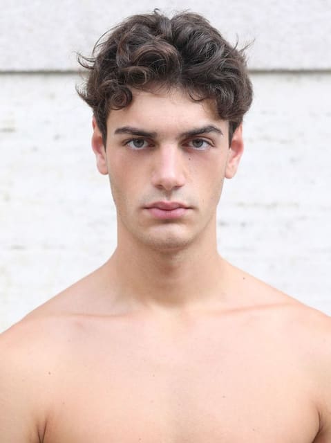 Ludovico Dinisi