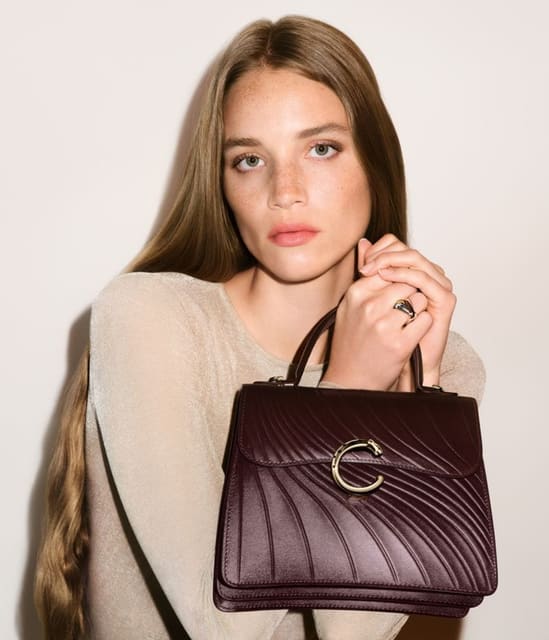 Panthère Double de Cartier Bag 2025 Camp... — Cartier