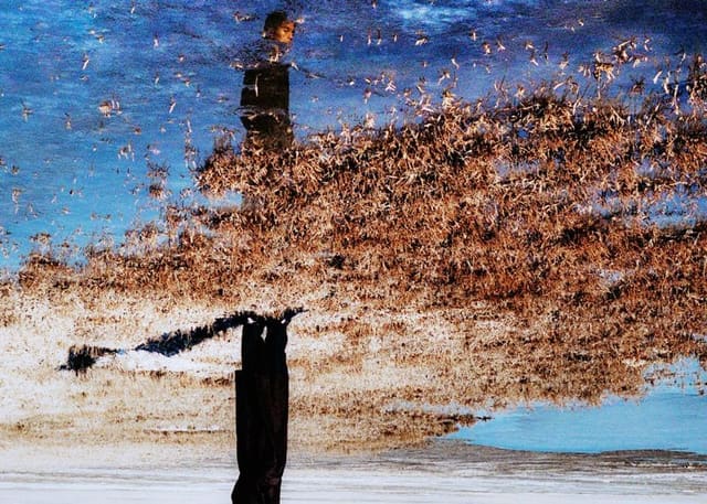 The Far Travelers — Elle Men China
