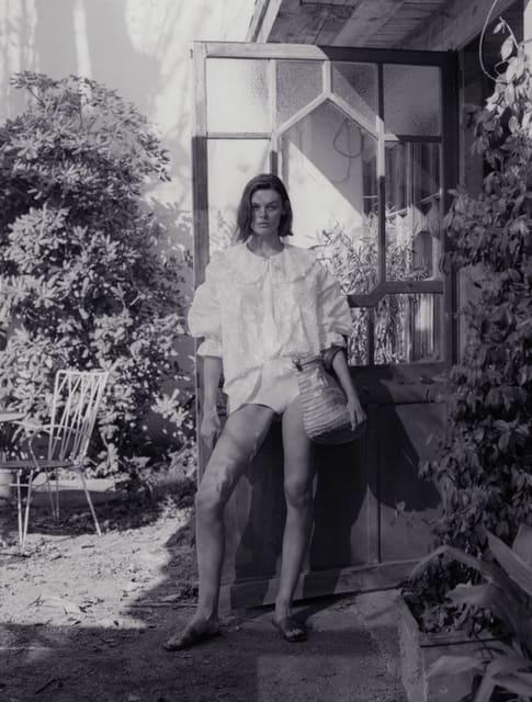 Mediterranean greenhouse — Mango