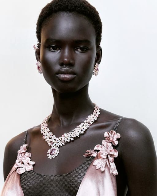 Dior Haute Joaillerie 2026 — Dior