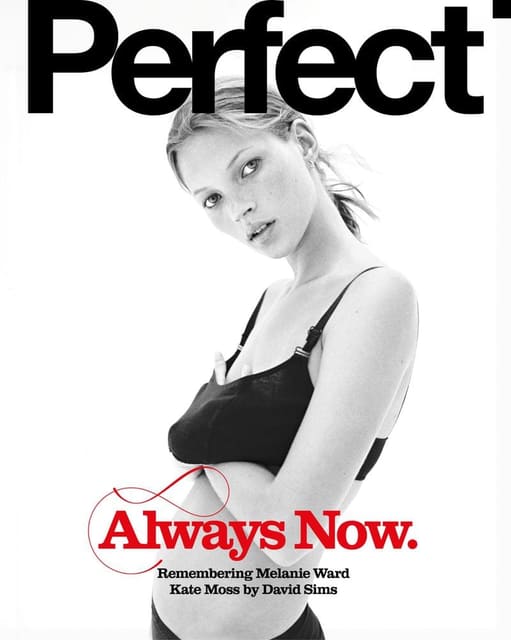 The Perfect Magazine Issue 10 Spring/Sum... — The Perfect Magazine
