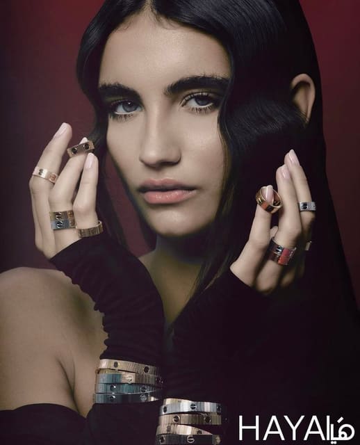 HAYA magazine special Cartier