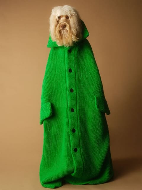 Haute Dog — Sicky Magazine