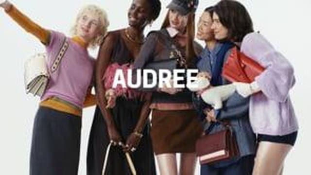 The Audree Bag — Tous