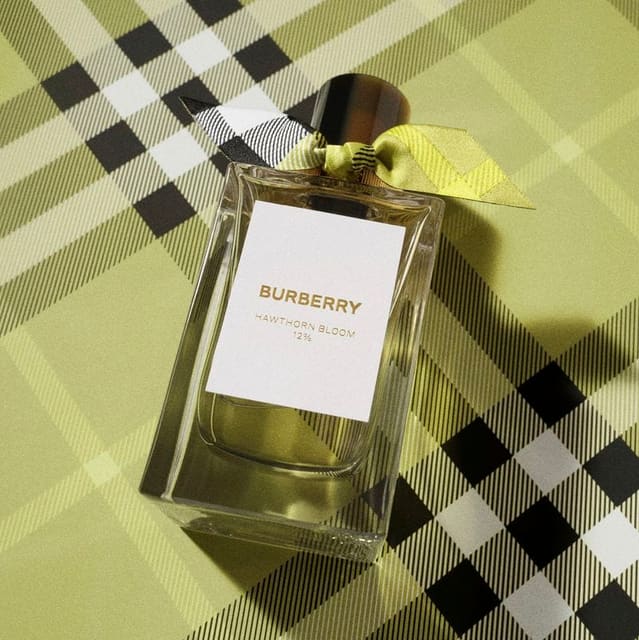 Burberry Beauty Signatures Campaign — Burberry