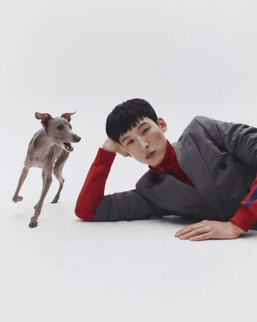 Good Boy — Telegraph Luxury