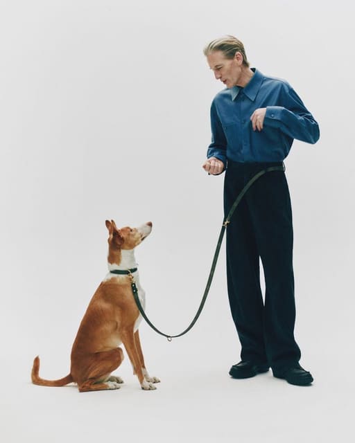 Good Boy — Telegraph Luxury