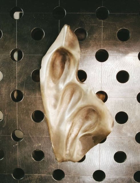 Cristina Iglesias — Present Space