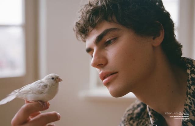 White Sparrow — Schön Magazine
