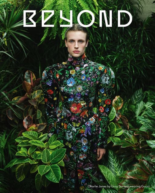 Beyond Noise Issue 5 Covers — Beyond Noise