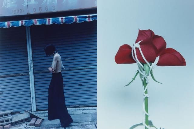 Beauty Pain and Restraint — Carnale Room