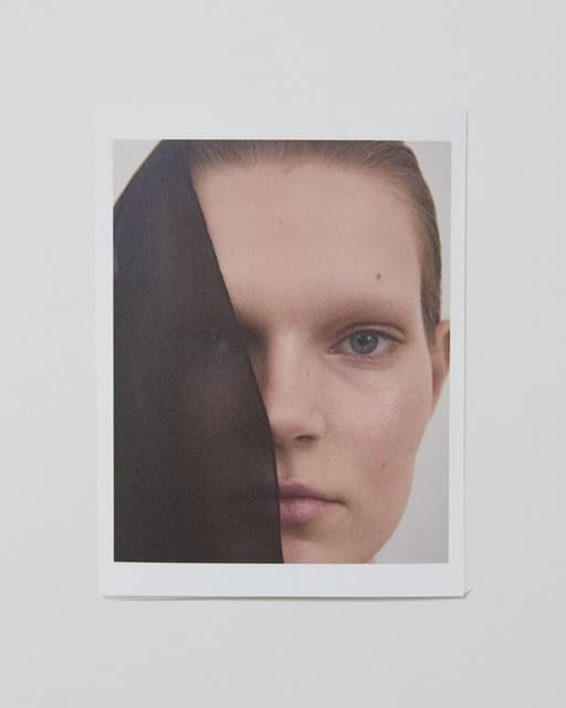 Photogramic Delight — The Forumist Magazine