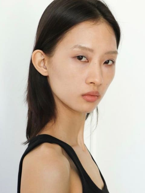 Chi Linh Pham