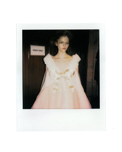 Harmony Korine