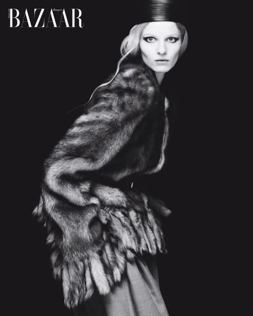 Territory — Harper's Bazaar Thailand
