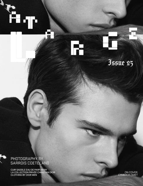 At Large Magazine Issue 25 Cover — At Large Magazine