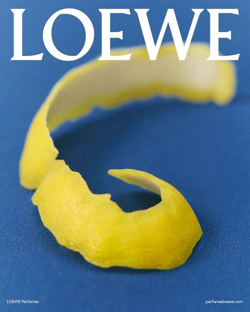 Perfumes Product Campaign — Loewe