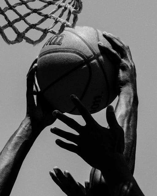 On Court — Circle Zero Eight