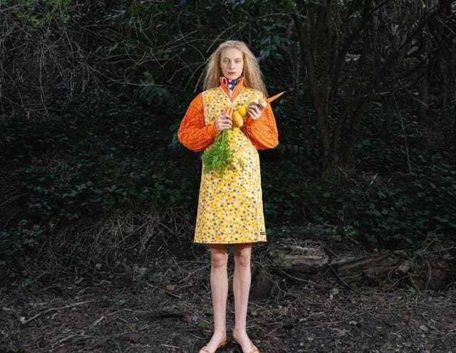 Vegetable Weapons by Tsuyoshi Ozawa and ... — Double Magazine