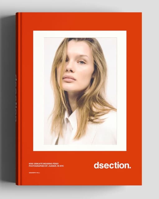 DSECTION Serendipity Vol. 2 2026 Covers — DSECTION Magazine